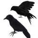 thumbnail image 1 of 1 Uds. De pájaros cuervos negros de bosque realistas artificiales para jardín, hogar, decoración de Halloween (B), 1 of 2