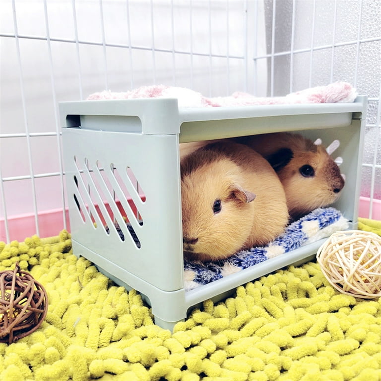 Guinea pig bunk clearance beds