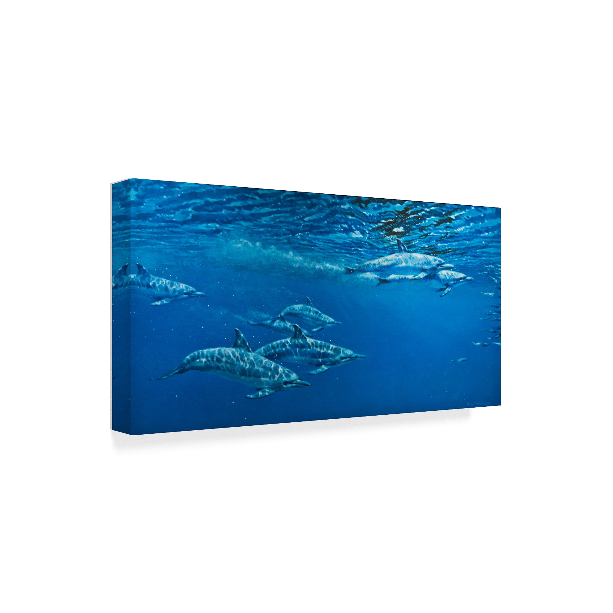 Trademark Fine Art 'Dolphins In Open Water' Canvas Art by Michael Jackson