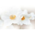 thumbnail image 2 of Nan, Juliana 14x11 White Modern Wood Framed Museum Art Print Titled - Her Name Is Love...Iii, 2 of 4