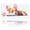 Corgi, variant on 1 Pcs 2D Flat License Plate Covers & Frames, Corgi For Decorative Front, Waterproof For Decoration Aluminum License Plate Covers & Frames Cover For Men Women, 12" X 6"