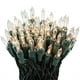 thumbnail image 1 of Luces navideñas 612 Vermont 100, transparentes, centelleantes, 20,6 m, 1 of 5