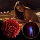 thumbnail image 4 of Velas de cera de baja temperatura | Velas de masaje con aroma a soja Seguro para el cuerpo Baja temperatura | Vela romántica de goteo que brilla en la oscuridad | Seguro para la piel | Punto de, 4 of 5