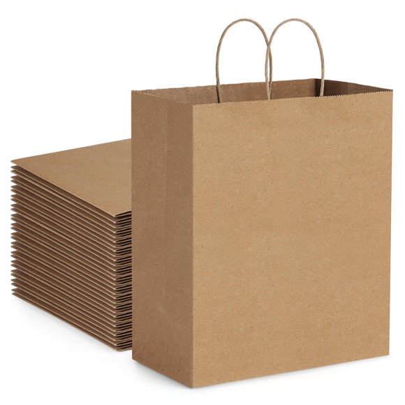 Bolsas de papel Dream Kraft de 10 x 17 x 30 cm con asas, 100 unidades, color marrón