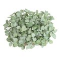 thumbnail image 2 of Toystoory Hojas de eucalipto Planta artificial Hojas Centro de Hojas Oficina en el hogar Fiesta de boda Decoración Planta Plantas Artificiales gris blanco Toystoory HA6648-01B, 2 of 6