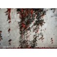 thumbnail image 3 of GreenDecor 7x5ft Nature Countyard Backdrop Green Leaves Vine Rustic Grey Concrete Wall Abstract Wallpaper Photography Background Kids Adults Photo Studio Props, 3 of 5