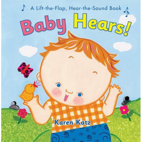 Pre-Owned Baby Hears: A Lift-the-Flap, Hear-the-Sound Book (Hardcover) 0547554362 9780547554365