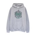 thumbnail image 1 of Harry Potter Womens Slytherin Heather Hoodie, 1 of 2