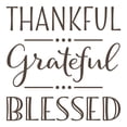 thumbnail image 2 of Thankful Grateful Blessed Vinyl Lettering Wall Decal Sticker  Fall Decor Thanksgiving Decals Crafts - Size: 10"H x 10"L - Color: Brown, 2 of 5