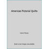 Americas Pictorial Quilts [Hardcover - Used]