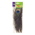thumbnail image 1 of Dixon Ticonderoga Co-Pacon, 1 of 1