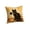 A004- Style D, variant on Halloween Pillow Cover, Black Cat Halloween Decor, for Fall Living Room Decor, Farmhouse Living Room Decor, Water-Resistant Linen Pillow Case, 18X18 Inch, Throw Pillow Cover to