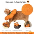 thumbnail image 2 of Cute Waterproof Cat Cone Collar for Healing, Anti-Bite Safety Elizabethan e Collar for Cats - Orange Pumpkin Cat, 2 of 4
