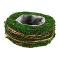 thumbnail image 6 of PTOOTP Round Planter with Air Circulation - 1 Pack Garden Pot for Indoor and Outdoor Plant, 6 of 8