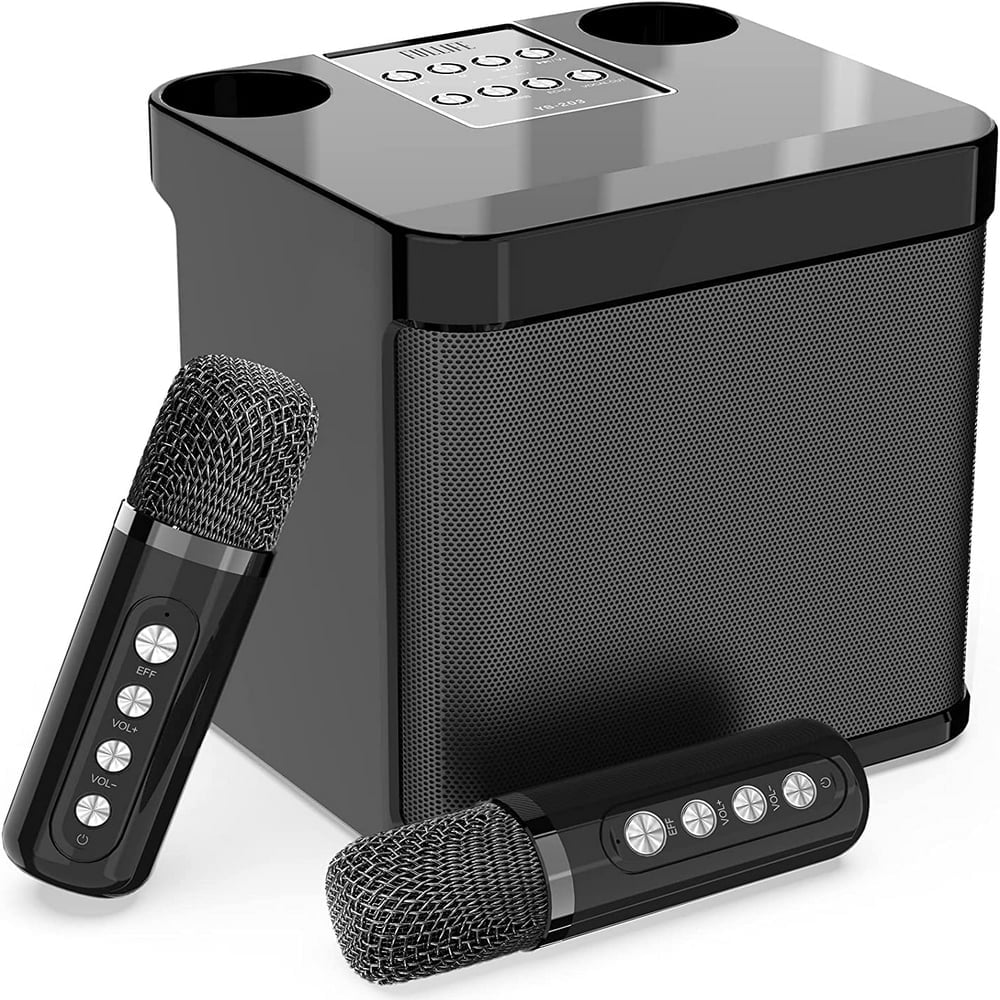 Machine De Karaoké Portable Avec 2 Micros Sans Fil - Haut-Parleurs Bluetooth Lumières Disco