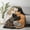 B, variant on 50x60 Inch Cute Multi Color Sleeping Cats Print Flannel Fleece Throw Blanket for Home Bed Sofa Couch Soft Warm Cozy All Season Machine Washable with Reversible Design
