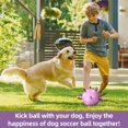 thumbnail image 2 of Pelota de fútbol QDAN Dog Toy con correas de 15 cm para perros pequeños, 2 of 8