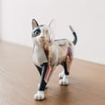 thumbnail image 5 of Kit de Modelo de Anatomía de Esqueleto de Gato 4D Sincero Modelo Anatómico Animal Desmontable 30 cm, 5 of 5