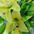 thumbnail image 5 of 7 Pcs Artificial Lily Flowers Artificial Lilies Flowers for Home Wedding Bouquets Home Hotel Party Decor Graves Arrangement (Yellow), 5 of 5
