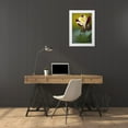 thumbnail image 3 of OBrien, Jay 17x24 White Modern Wood Framed Museum Art Print Titled - PA, Philadelphia Columbine at the Nature Center, 3 of 4