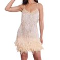 thumbnail image 1 of Robe à Paillettes à Franges et Plumes pour Femmes, Col en V Profond, Paillettes, Franges, Robe de Danse de Fête, Haute Qualité, 1 of 1