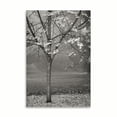 thumbnail image 2 of Gango Home Decor Maple Delicacy I B&W by Vitaly Geyman (Printed on Paper); One 24x36in Fine Art Paper Giclee Print, 2 of 4