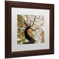 thumbnail image 2 of Trademark Fine Art "Under a Japanese Maple 2" Canvas Art by Kurt Shaffer, White Matte, Wood Frame, 2 of 4