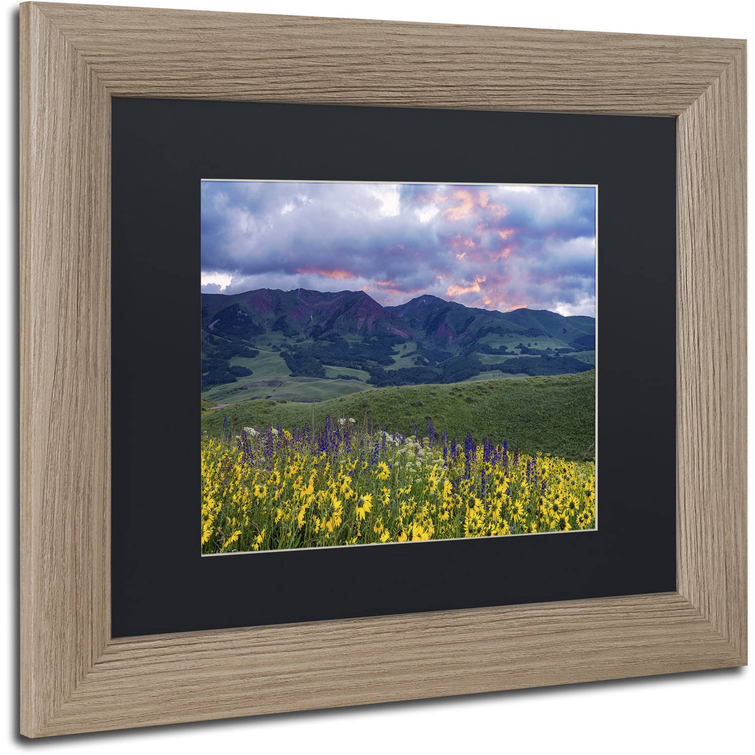 Trademark Fine Art "Crimson Flare" Canvas Art by Michael Blanchette Photography Black Matte, Birch Frame