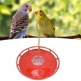 thumbnail image 3 of Comedero Para Pájaros Colgante Transparente Para Terraza De Jardín, Observa Pájaros Desde La Ventana, Contiene Varias Semillas, Adecuado Para Pájaros Cantores, Pinzones, 3 of 7