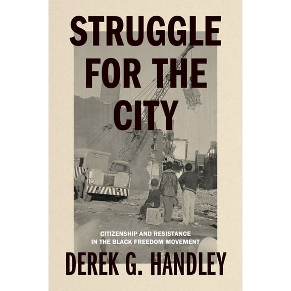 Rhetoric and Democratic Deliberation Struggle for the City: Citizenship and Resistance in the Black Freedom Movement, (Paperback)