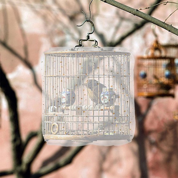 WEUVEB 2Ud Cubierta Para Jaula De Y Loros Con Malla Fácil De Instalar Y