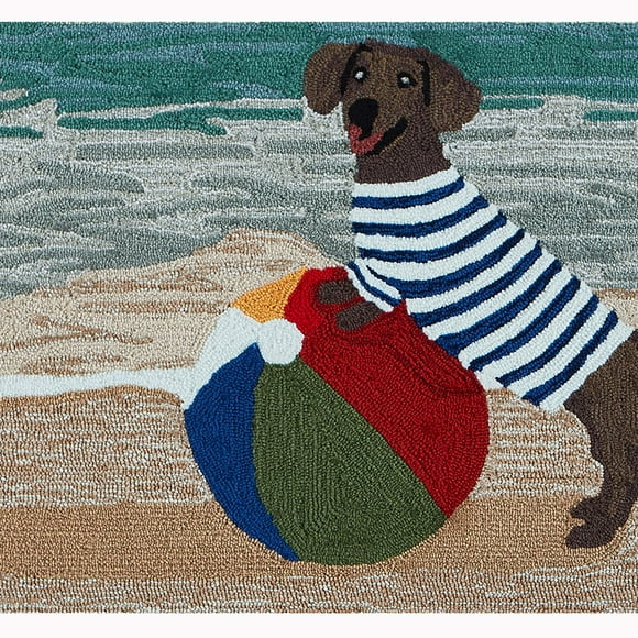 Liora Manne Frontporch Indoor Outdoor Rug - Novelty Design, Hand Hooked, Weather Resistant, UV Stabilized, Foyers, Porches, Patios & Decks, Coastal Dog, 2'6 x 4'