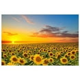 thumbnail image 3 of Maytalsory Spray Painting Flower Poster Wall Pendent Realistic Reusable Fine Workmanship Long-lasting Sculpture Home Decal, 3 of 6