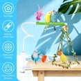 thumbnail image 5 of Bendable Bird Perch with Clip – Portable Tabletop Play Stand for Small Birds | Adjustable Cockatiel Swing for Canaries, Finches & Parakeets – Indoor Outdoor Training Station（1PCS,C）, 5 of 6