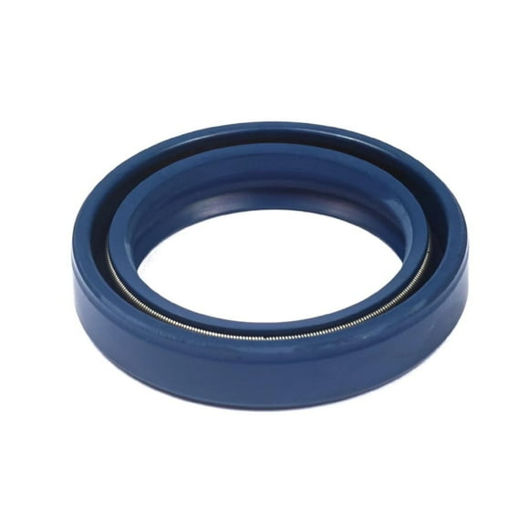 Briggs & Stratton Oil Seal