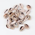 thumbnail image 3 of Natural Cowrie Shell Beads, 3 of 4