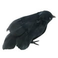 thumbnail image 2 of Dserhfy Halloween Black Crow Decoration Realistic Feathered Crow Prop Artificial Fake Raven Birds for Yard Tree Garden Patio Indoor Outdoor Halloween Decoration, 2 of 8