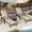 Beige, variant on Kicctia 2PCS 5-Position Adjustable Outdoor Lounge Chairs, Durable Textilene Reclining Patio Lounger, Ideal for Poolside, Garden, Balcony, Beach – Beige
