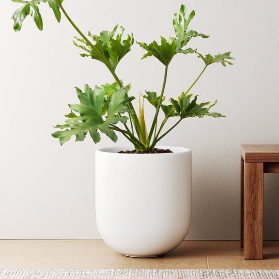 BEMAY 10" Ceramic Plant Pot, Indoor Planter with Drainage Hole & Plug, Ceramic Planter for Outdoor Decorative, White Planter