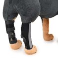 thumbnail image 1 of Corvejón para perros Sincero transpirable Soporte rodillera, 1 of 6