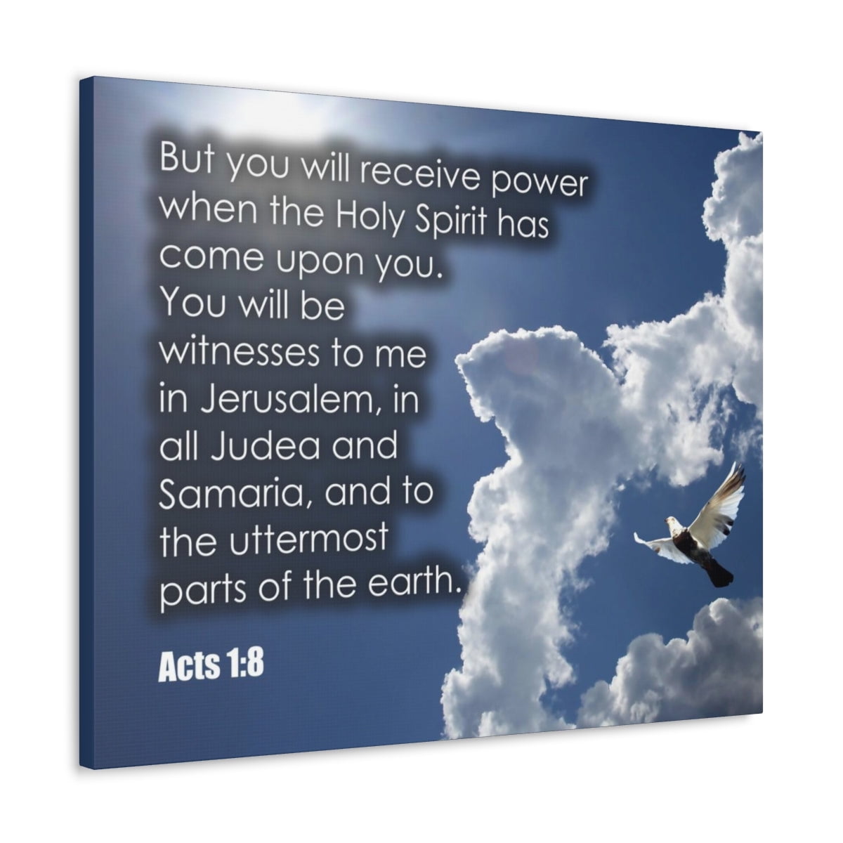 V.A. COME ALONE TO THE HOLY NIGHT， SKINHEADS CD punk hardcore oi