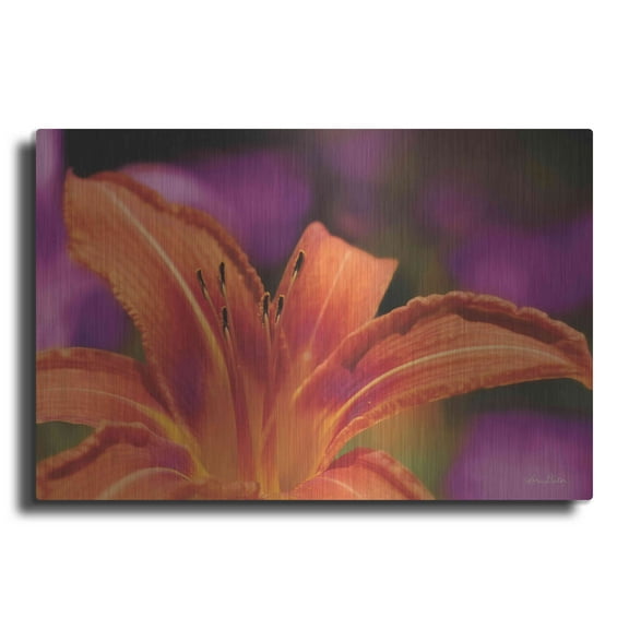 Luxe Metal Art 'Floral Pop V' by Lori Deiter, Metal Wall Art, 36"x24"