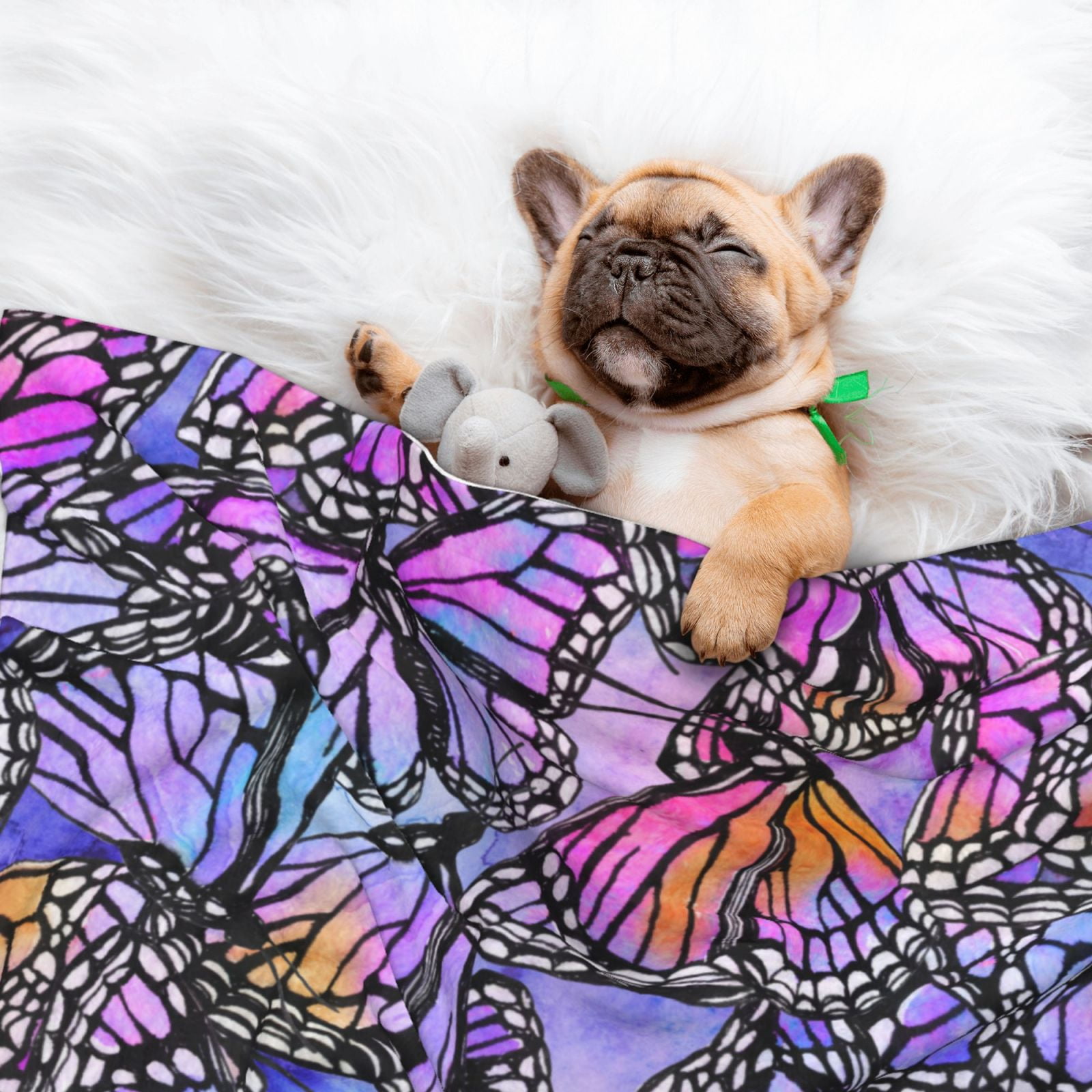 Naloa Watercolor Butterflies Dog Blanket, 3 Sizes Cat Blanket for Indoor Cats Large Medium Small Dog Gifts-Large