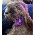thumbnail image 4 of Miaocao Rhinestone Dog Collar and Leash Set, Soft Suede Leather Pet Collar with Bling Crystal Studs Multiple styles and colors, 4 of 7