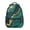 Teal Gold Marble-3, variant on Teal Gold Marble Backpack for School,Cute School Bag,Schoolbag with Adjustable Shoulder Straps & Padded Back,15.3"x11"x6.7"