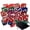 Las Vegas - Assorted Colors, variant on Nevada Table Played Casino Dice - 19mm Craps Dice 3 Pairs Assortment - Las Vegas, Reno & Lake Tahoe Casinos
