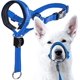 thumbnail image 1 of Collar para la cabeza de perro con arnés acolchado y ajustable para perros pequeños, medianos y grandes, 1 of 5