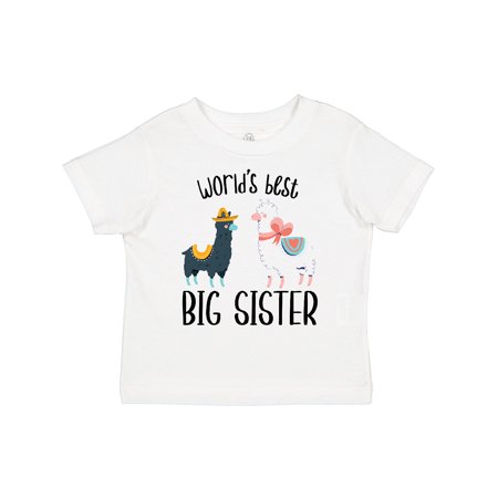 

Inktastic World s Best Big Sister Gift Toddler Toddler Girl T-Shirt