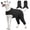 Black, variant on HQREA Dog Recovery Suit for Medium Large Dogs Female Body Suits after Surgery Two-legs Doggy Onesie for Stop Licking & Wound Protection
