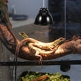 thumbnail image 4 of Raindrops 1 Set Snake Lamp Protector for Heat Protection in Breeding Boxes, 4 of 6